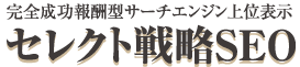 �Z���N�g�헪SEO